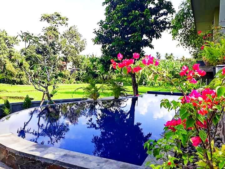 Medewi Beach View Villa Jembrana  Bagian luar foto