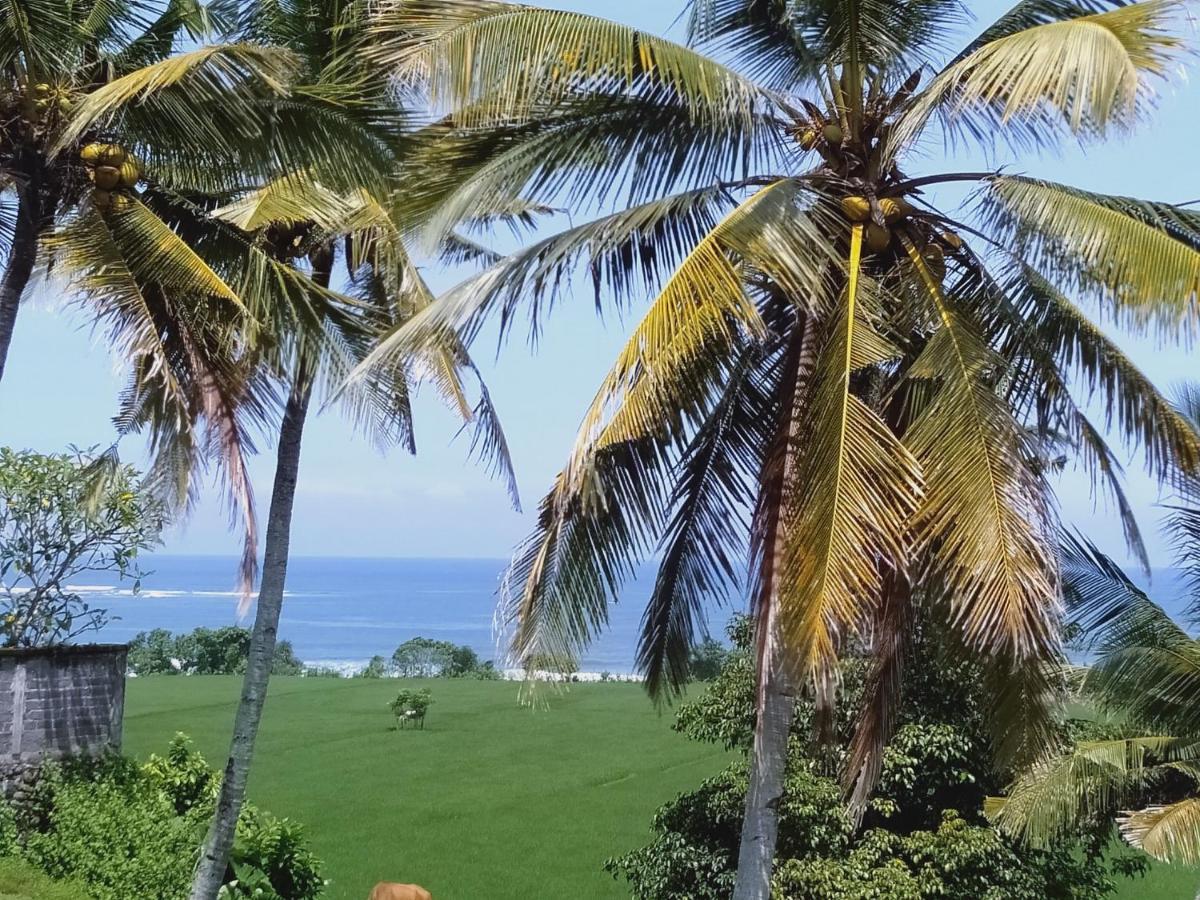Medewi Beach View Villa Jembrana  Bagian luar foto
